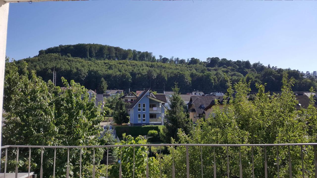 Apartment Am Naturbad Lahr (Baden-Wurttemberg)