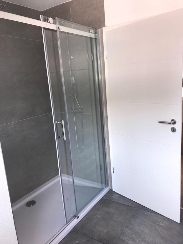Am Naturbad Apartment Lahr (Baden-Wurttemberg)